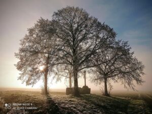 Limagne sous le gel Auvergne Puy de Dôme