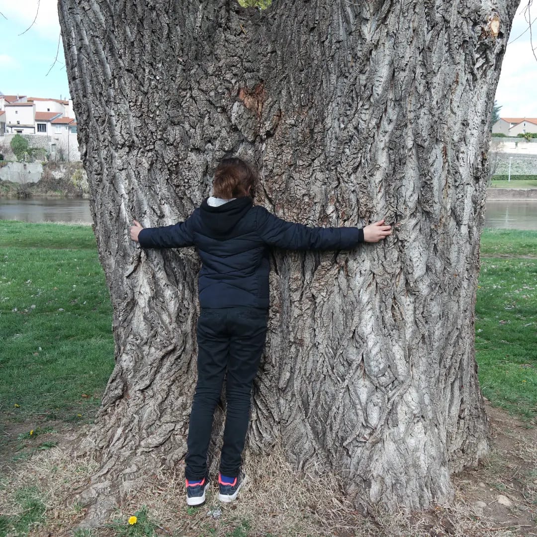 Balades Nature & Handicap