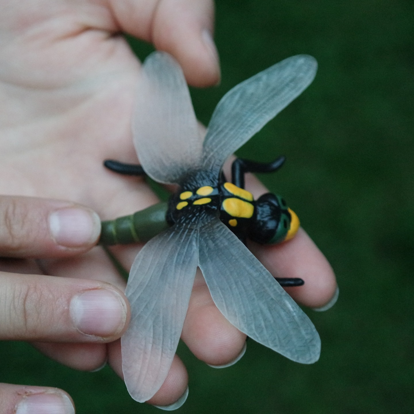 L’équipe s’agrandit !